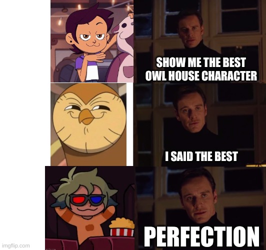 let's see how many people get mad at me for this | SHOW ME THE BEST OWL HOUSE CHARACTER; I SAID THE BEST; PERFECTION | image tagged in perfection,the owl house | made w/ Imgflip meme maker