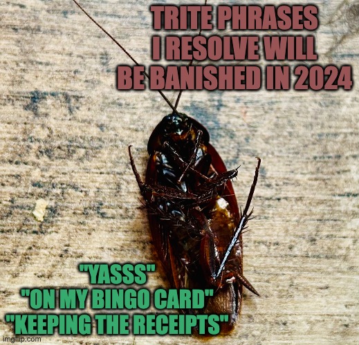 New Year's Resolution | TRITE PHRASES I RESOLVE WILL BE BANISHED IN 2024; "YASSS"
"ON MY BINGO CARD"
"KEEPING THE RECEIPTS" | image tagged in language,stop,insects | made w/ Imgflip meme maker