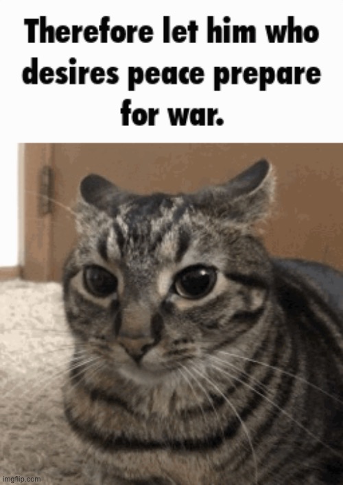 hi chat. | made w/ Imgflip meme maker