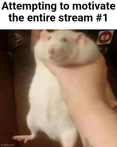 Tryna motivate all of you with this rat image I have on my phone | Attempting to motivate the entire stream #1 | image tagged in motivational,rat,post,shitpost,why are you reading the tags,stop reading the tags | made w/ Imgflip meme maker