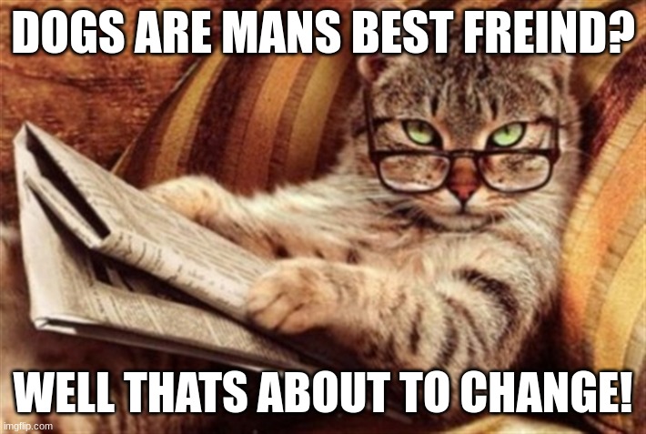 Cat reading news | DOGS ARE MANS BEST FREIND? WELL THATS ABOUT TO CHANGE! | image tagged in cat reading news | made w/ Imgflip meme maker