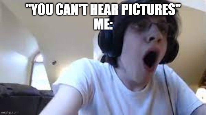 oh my god | "YOU CAN'T HEAR PICTURES"
ME: | image tagged in nepesta scream | made w/ Imgflip meme maker