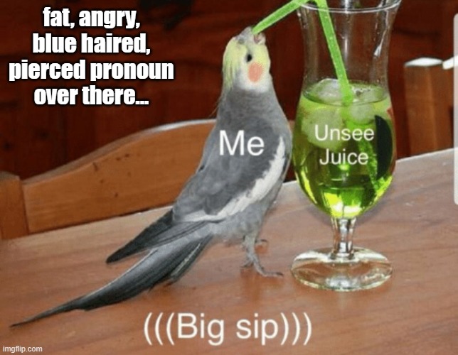 Unsee juice | fat, angry, blue haired, pierced pronoun over there... | image tagged in unsee juice | made w/ Imgflip meme maker