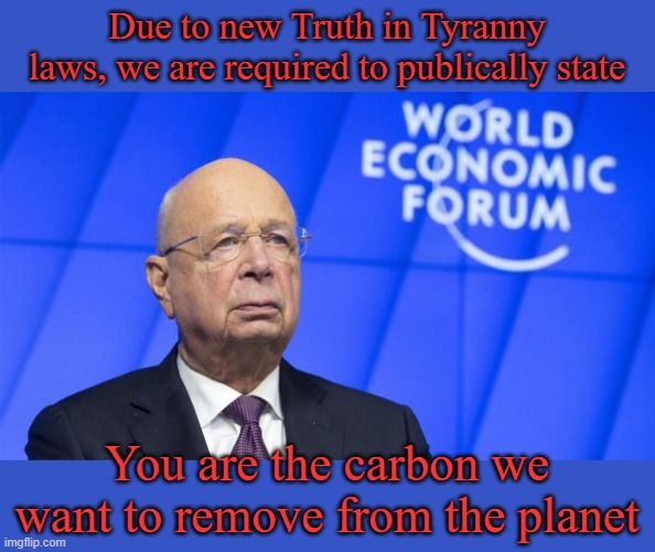 CO2, it's what's for dinner. | Due to new Truth in Tyranny laws, we are required to publically state; You are the carbon we want to remove from the planet | image tagged in klaus schwab wef blue banner | made w/ Imgflip meme maker