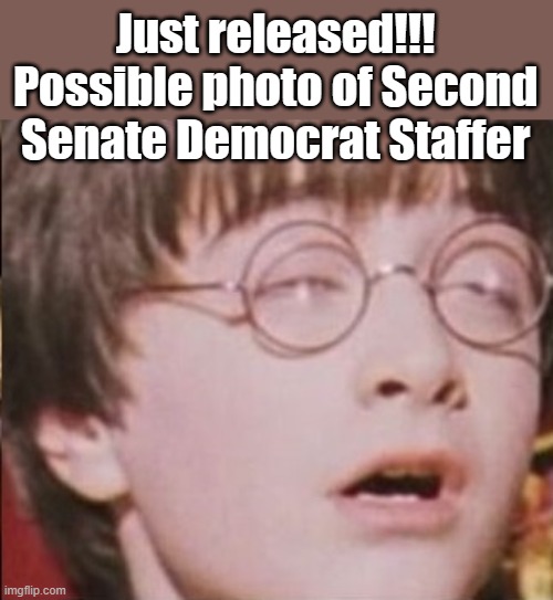 We'll never know for sure. | Just released!!! Possible photo of Second Senate Democrat Staffer | image tagged in harry potter feels it | made w/ Imgflip meme maker