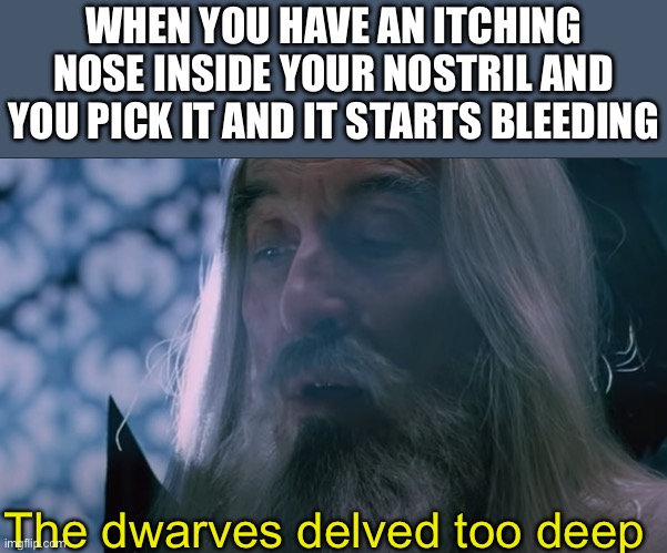 Nose bleed | WHEN YOU HAVE AN ITCHING NOSE INSIDE YOUR NOSTRIL AND YOU PICK IT AND IT STARTS BLEEDING; The dwarves delved too deep | image tagged in the dwarves delved too deep | made w/ Imgflip meme maker
