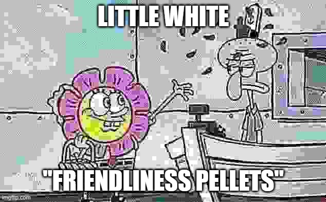 SpongeBob flower | LITTLE WHITE "FRIENDLINESS PELLETS" | image tagged in spongebob flower | made w/ Imgflip meme maker