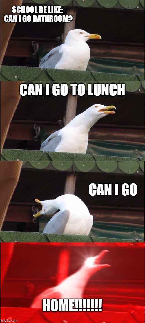 Inhaling Seagull | SCHOOL BE LIKE:
 CAN I GO BATHROOM? CAN I GO TO LUNCH; CAN I GO; HOME!!!!!!! | image tagged in memes,inhaling seagull | made w/ Imgflip meme maker