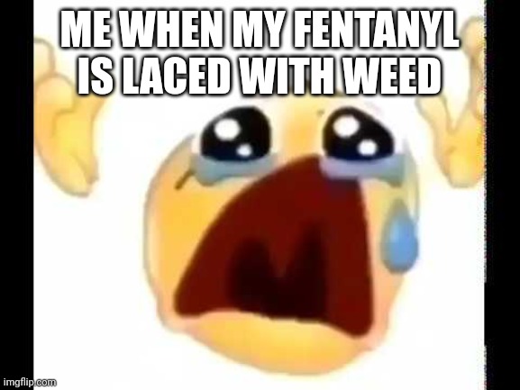 Making my own shitpost 19 | ME WHEN MY FENTANYL IS LACED WITH WEED | image tagged in cursed crying emoji | made w/ Imgflip meme maker