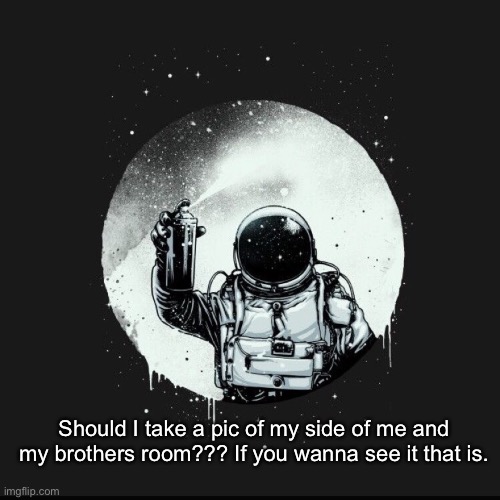 Should I take a pic of my side of me and my brothers room??? If you wanna see it that is. | made w/ Imgflip meme maker