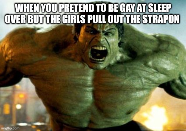 Guys post theost offensive memes possible in msmg_nositemods | WHEN YOU PRETEND TO BE GAY AT SLEEP OVER BUT THE GIRLS PULL OUT THE STRAPON | image tagged in hulk | made w/ Imgflip meme maker