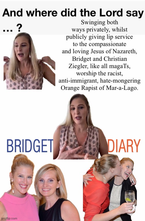 Bridget Ziegler's Diary | image tagged in both teams hypocrisy,hypocrisy,lip service christian and his ohso christian partner,grifters | made w/ Imgflip meme maker