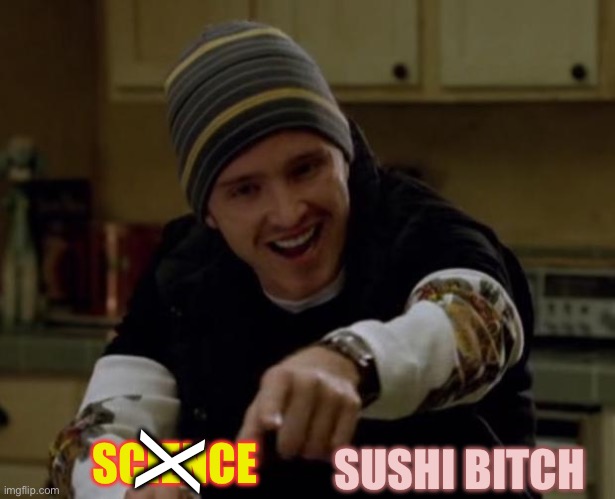It's Science Bitch! | SCIENCE SUSHI BITCH X | image tagged in it's science bitch | made w/ Imgflip meme maker