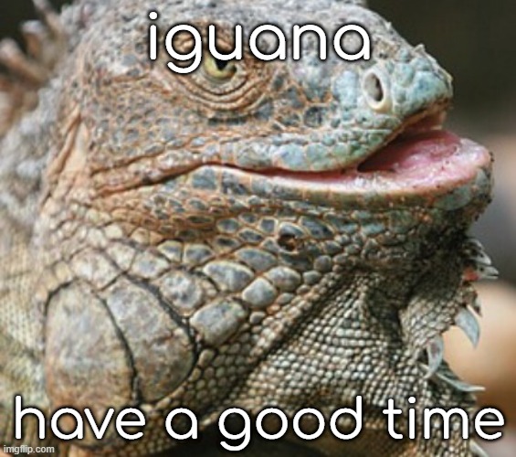 iguana igwanna | iguana; have a good time | image tagged in iguana | made w/ Imgflip meme maker