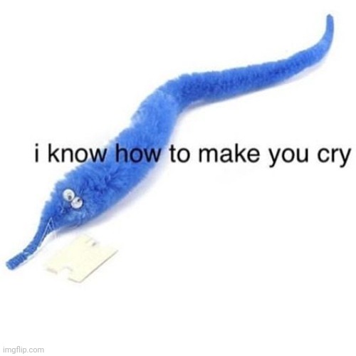 worms can make you cry | image tagged in worms can make you cry | made w/ Imgflip meme maker