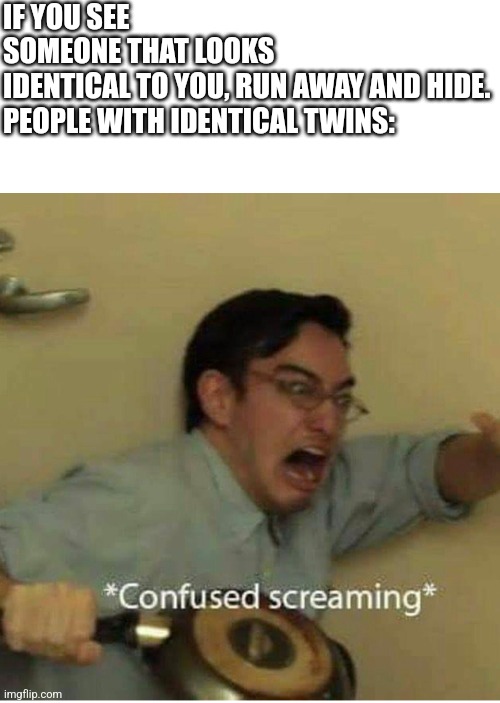 Wth is wrong with the internet | IF YOU SEE SOMEONE THAT LOOKS IDENTICAL TO YOU, RUN AWAY AND HIDE.


PEOPLE WITH IDENTICAL TWINS: | image tagged in confused screaming | made w/ Imgflip meme maker