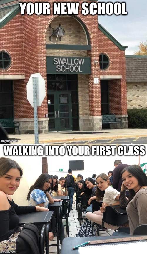 YOUR NEW SCHOOL; WALKING INTO YOUR FIRST CLASS | image tagged in girls in class looking back | made w/ Imgflip meme maker