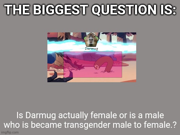 Because Imgflip's famous users are mostly male or male to female :) | THE BIGGEST QUESTION IS:; Is Darmug actually female or is a male who is became transgender male to female.? | made w/ Imgflip meme maker