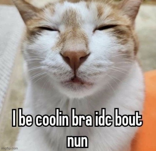 i be coolin | image tagged in i be coolin | made w/ Imgflip meme maker