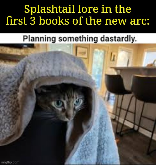 Spoiler(ish) warning | Splashtail lore in the first 3 books of the new arc: | image tagged in planning something dastardly | made w/ Imgflip meme maker