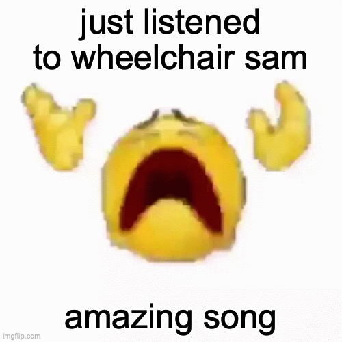:nooo: | just listened to wheelchair sam; amazing song | image tagged in nooo | made w/ Imgflip meme maker