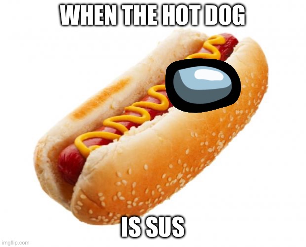Among Us Hot Dog Meme | WHEN THE HOT DOG; IS SUS | image tagged in hot dog,among us | made w/ Imgflip meme maker
