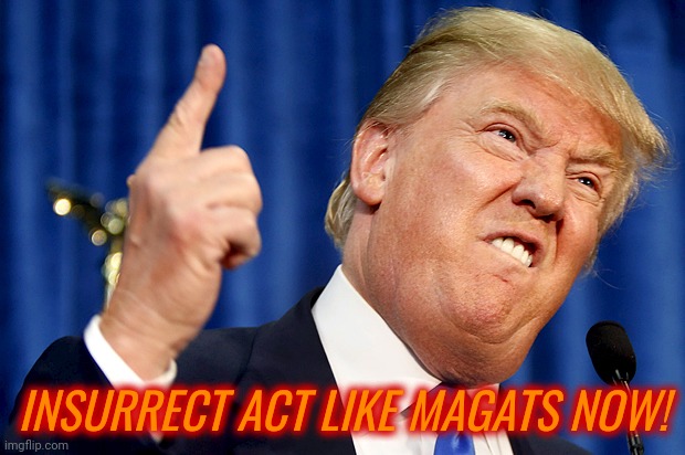 Donald Trump | INSURRECT ACT LIKE MAGATS NOW! | image tagged in donald trump | made w/ Imgflip meme maker