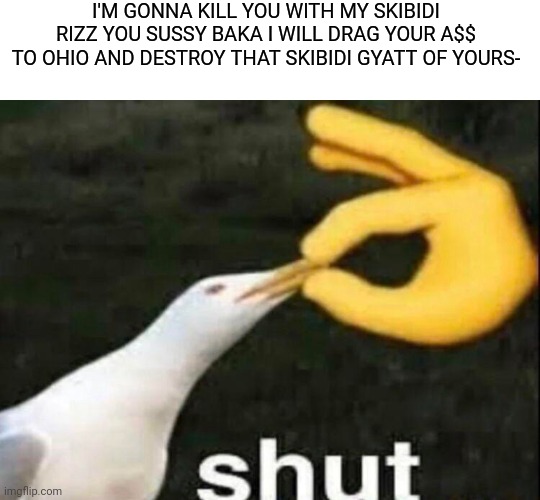 SHUT | I'M GONNA KILL YOU WITH MY SKIBIDI RIZZ YOU SUSSY BAKA I WILL DRAG YOUR A$$ TO OHIO AND DESTROY THAT SKIBIDI GYATT OF YOURS- | image tagged in shut | made w/ Imgflip meme maker