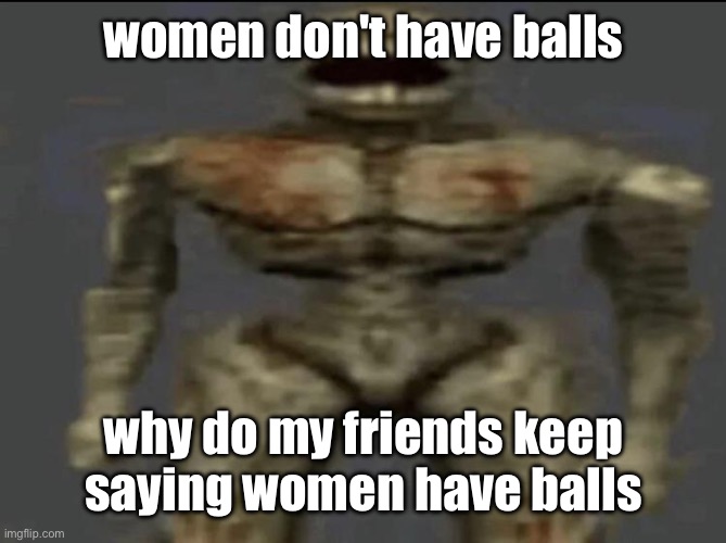 filth | women don't have balls; why do my friends keep saying women have balls | image tagged in filth | made w/ Imgflip meme maker