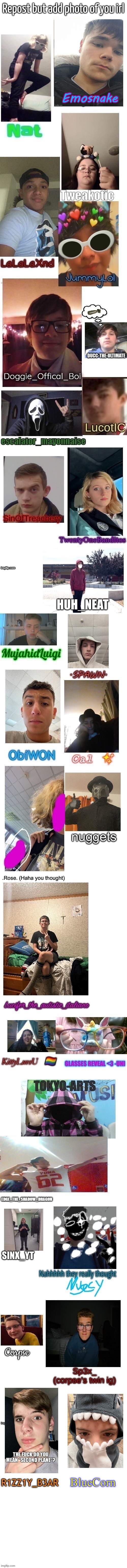 Yall should continue this | Emosnake | made w/ Imgflip meme maker