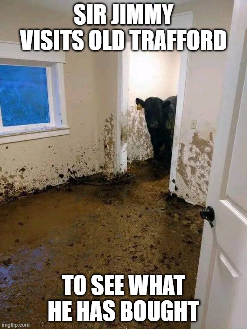 Old Trafford | SIR JIMMY VISITS OLD TRAFFORD; TO SEE WHAT HE HAS BOUGHT | image tagged in cow,manchester united | made w/ Imgflip meme maker