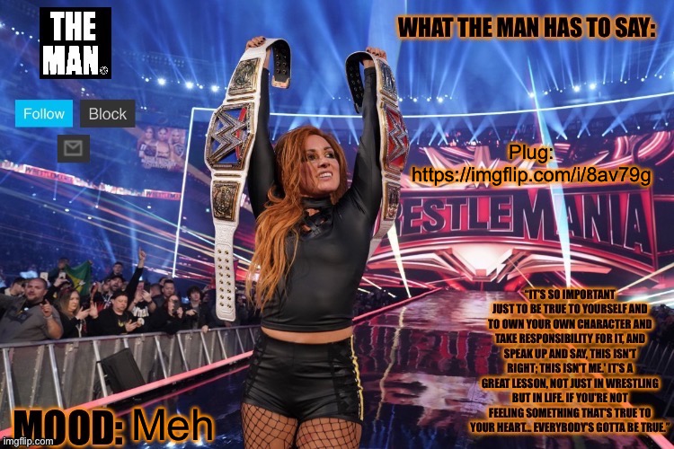 https://imgflip.com/i/8av79g | Plug: https://imgflip.com/i/8av79g; Meh | image tagged in the man becky lynch better format | made w/ Imgflip meme maker