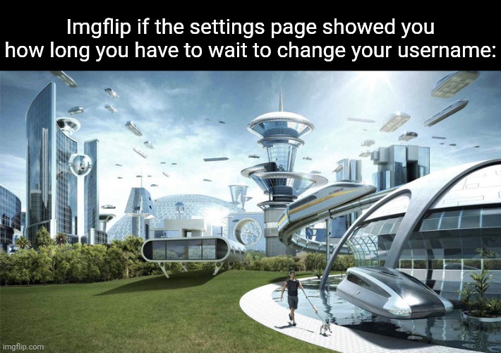Gonna put this in the feedback section and see if it gets added | Imgflip if the settings page showed you how long you have to wait to change your username: | image tagged in the future world if | made w/ Imgflip meme maker