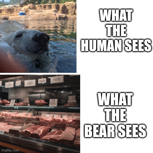 WHAT THE HUMAN SEES; WHAT THE BEAR SEES | made w/ Imgflip meme maker