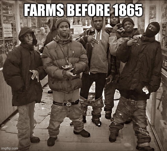 All My Homies Hate | FARMS BEFORE 1865 | image tagged in all my homies hate | made w/ Imgflip meme maker