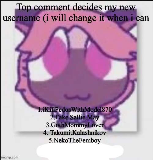 Mittens Wichien announcement temp | Top comment decides my new username (i will change it when i can; 1.iKillPedosWithModel870
2.Fake.Sallie.May
3.GothMommyLover
4. Takumi.Kalashnikov
5.NekoTheFemboy | image tagged in mittens wichien announcement temp | made w/ Imgflip meme maker