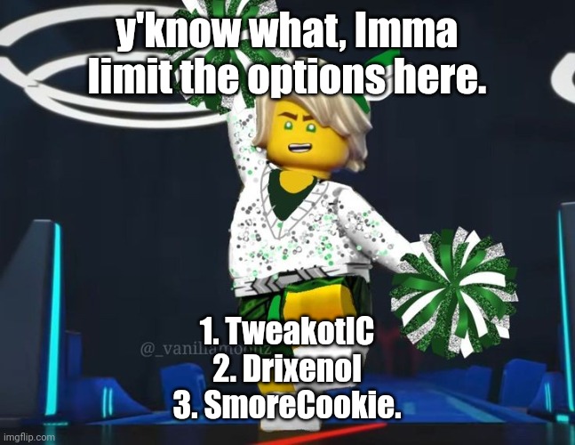 twink mfer | y'know what, Imma limit the options here. 1. TweakotIC
2. Drixenol
3. SmoreCookie. | image tagged in twink mfer | made w/ Imgflip meme maker