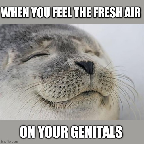 Satisfied Seal Meme | WHEN YOU FEEL THE FRESH AIR ON YOUR GENITALS | image tagged in memes,satisfied seal | made w/ Imgflip meme maker