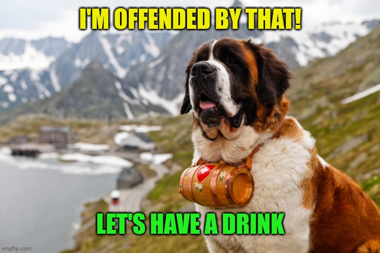 Saint bernard | I'M OFFENDED BY THAT! LET'S HAVE A DRINK | image tagged in saint bernard | made w/ Imgflip meme maker