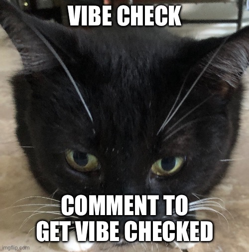 vibe check | VIBE CHECK; COMMENT TO GET VIBE CHECKED | image tagged in vibe check | made w/ Imgflip meme maker