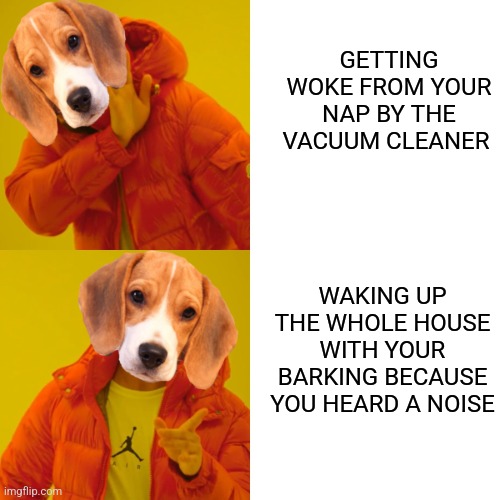 GETTING WOKE FROM YOUR NAP BY THE VACUUM CLEANER WAKING UP THE WHOLE HOUSE WITH YOUR BARKING BECAUSE YOU HEARD A NOISE | made w/ Imgflip meme maker
