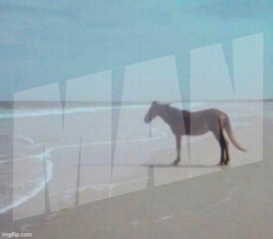 Man Horse Water | MAN | image tagged in man horse water | made w/ Imgflip meme maker