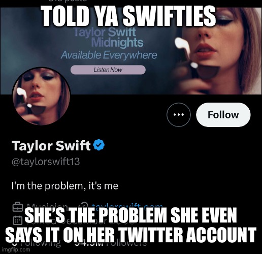 Told ya | TOLD YA SWIFTIES; SHE’S THE PROBLEM SHE EVEN SAYS IT ON HER TWITTER ACCOUNT | image tagged in taylor swift,sucks | made w/ Imgflip meme maker
