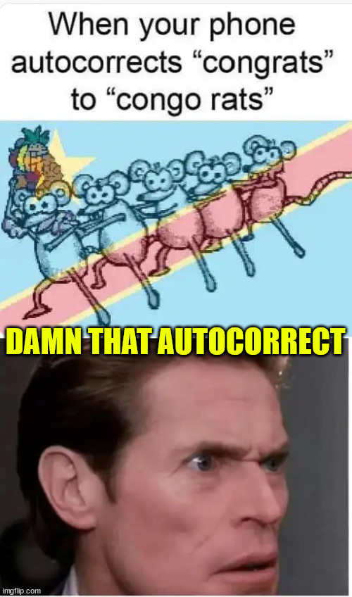 Damn that autocorrect | DAMN THAT AUTOCORRECT | image tagged in eye roll,autocorrect | made w/ Imgflip meme maker