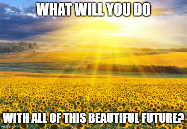 Janie's Song | WHAT WILL YOU DO; WITH ALL OF THIS BEAUTIFUL FUTURE? | image tagged in meme | made w/ Imgflip meme maker