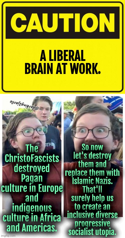 You been warned | A LIBERAL BRAIN AT WORK. The ChristoFascists destroyed Pagan culture in Europe and indigenous culture in Africa and Americas. @darking2jarlie; So now let's destroy them and replace them with Islamic Nazis. That'll surely help us to create an inclusive diverse progressive socialist utopia. | image tagged in liberal logic,liberal hypocrisy,liberals,islam,christianity,europe | made w/ Imgflip meme maker