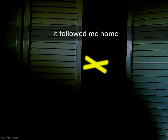 shitpost #24 or 25 | it followed me home; X | image tagged in closet | made w/ Imgflip meme maker