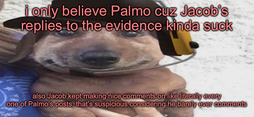 chucklenuts | i only believe Palmo cuz Jacob’s replies to the evidence kinda suck; also Jacob kept making nice comments on like literally every one of Palmo’s posts, that’s suspicious considering he barely ever comments | image tagged in chucklenuts | made w/ Imgflip meme maker