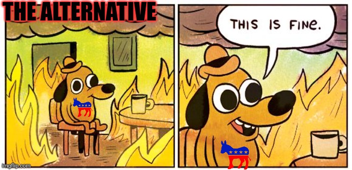 This Is Fine Meme | THE ALTERNATIVE | image tagged in memes,this is fine | made w/ Imgflip meme maker