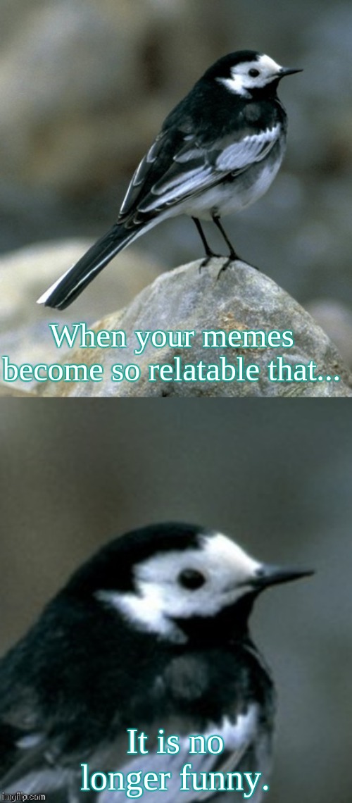 Yup. | When your memes become so relatable that... It is no longer funny. | image tagged in clinically depressed pied wagtail,can you stop reading the tags now,depressed birb | made w/ Imgflip meme maker